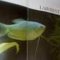 The Complete Aquarist's Guide to Freshwater Tropical Fishes