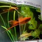The Complete Aquarist's Guide to Freshwater Tropical Fishes