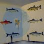 Know your fish paperback - A book  vintage 1960 sports afield tom dolan