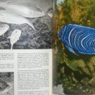 The Pictorial Encyclopedia of Fishes - S. Frank