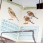 Pocket Guide to North American Birds Andrew Cleave