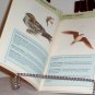 Pocket Guide to North American Birds Andrew Cleave