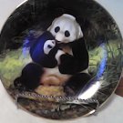 LAST OF THEIR KIND ENDANGERED SPECIES: THE PANDA & BABY BRADEX WILL NELSON PLATE