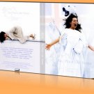 Bjork 1999-01-06 No Place Like Home, Reykjavik, Iceland DVD