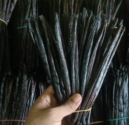 Vanilla Vanilla Beands vanilla best Quality vanilla planifolia Vanilla tahiti 500 gram