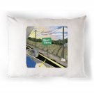 2 Frankie Cosmos - Close It Quietly Pillow Cases