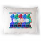 MATISYAHU TOUR Pillow Cases