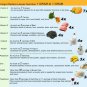 Moringa Powder
