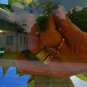 MoringaSOP K&Euml;� Powder
