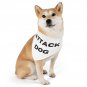 "Attack dog" Pet bandana collar