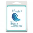 Ocean Breeze Soy Wax Melts Clamshell 6 piece Handpoured Strongly
