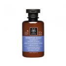 Apivita HOLISTIC HAIR CARE Sensitive Scalp Shampoo with Lavender & Honey 250ml