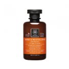 Apivita HOLISTIC HAIR CARE Shine & Revitalizing Shampoo with Orange & Honey 250ml