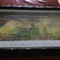“Super Bowl 50 “Panoramic Picture With Super Bowl 50 Program Framed