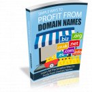Simple Ways To Profit From Domain Names | E-Book Download