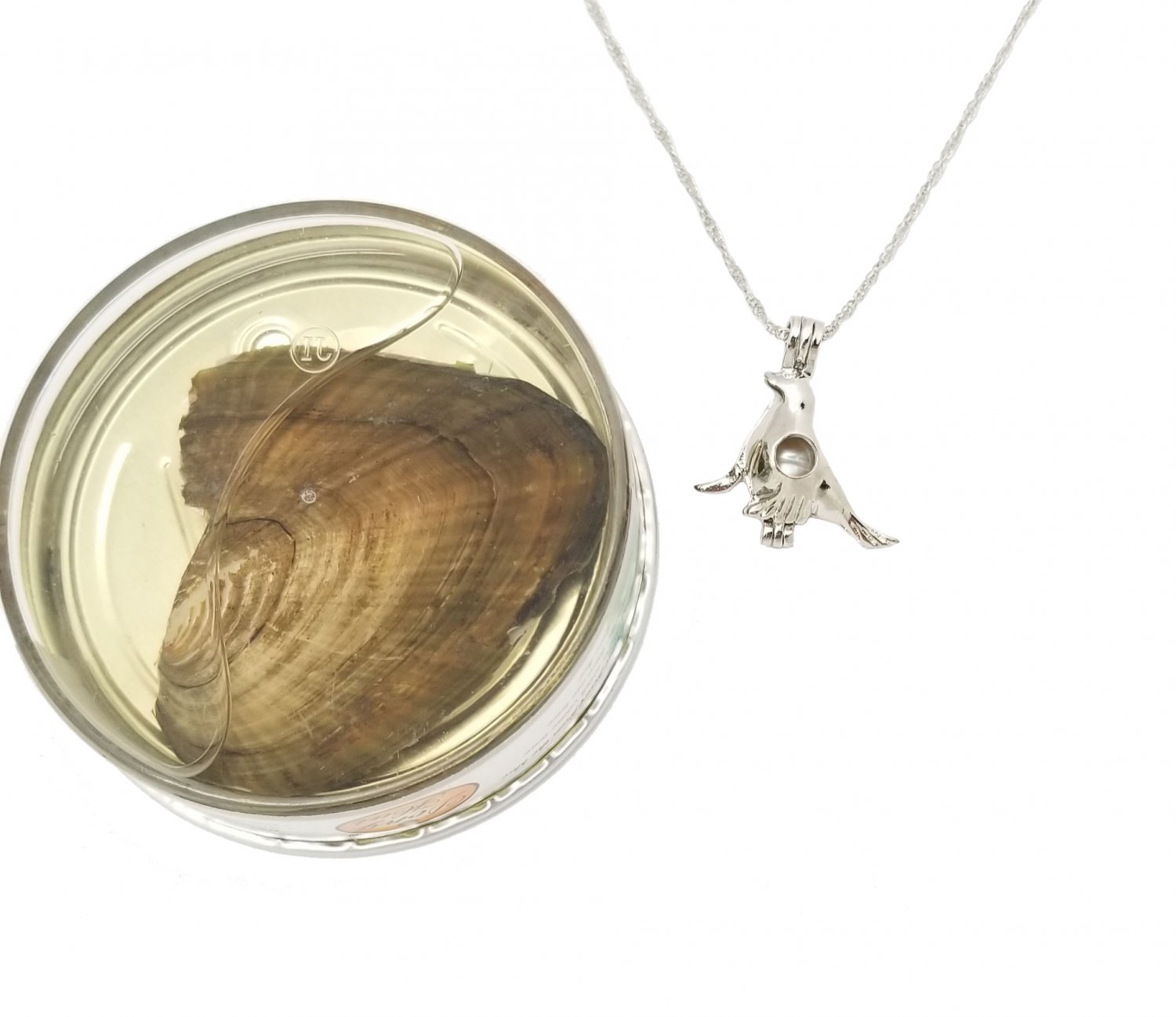 Love Wish Pearl Kit Cultured Pearl Oyster Necklace Kit, Sea Lion Cage