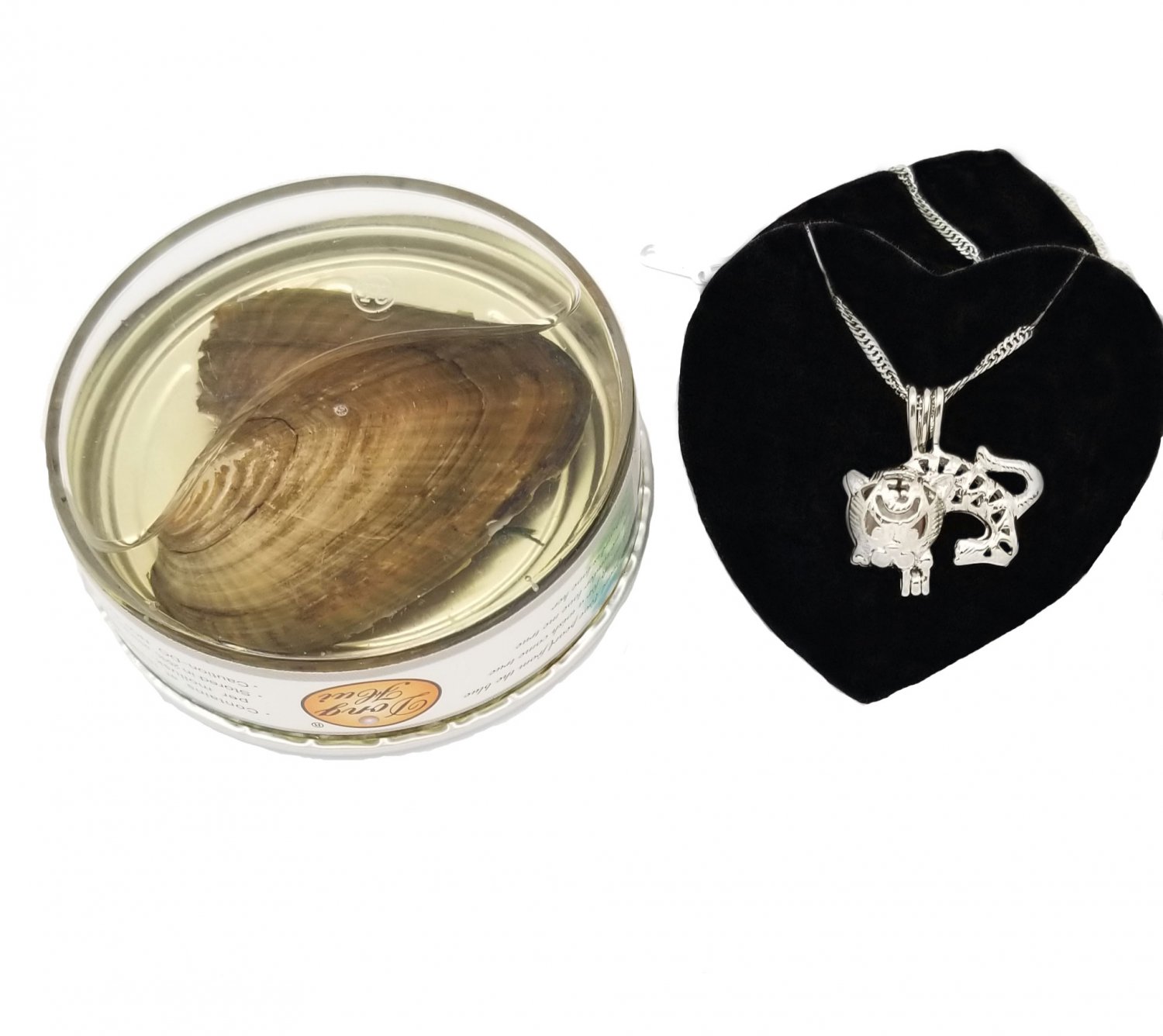 Love pearl oyster necklace Clearance