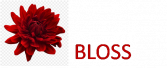 Bloss