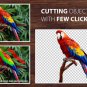 License Teorex PhotoScisors Pro Lifetime