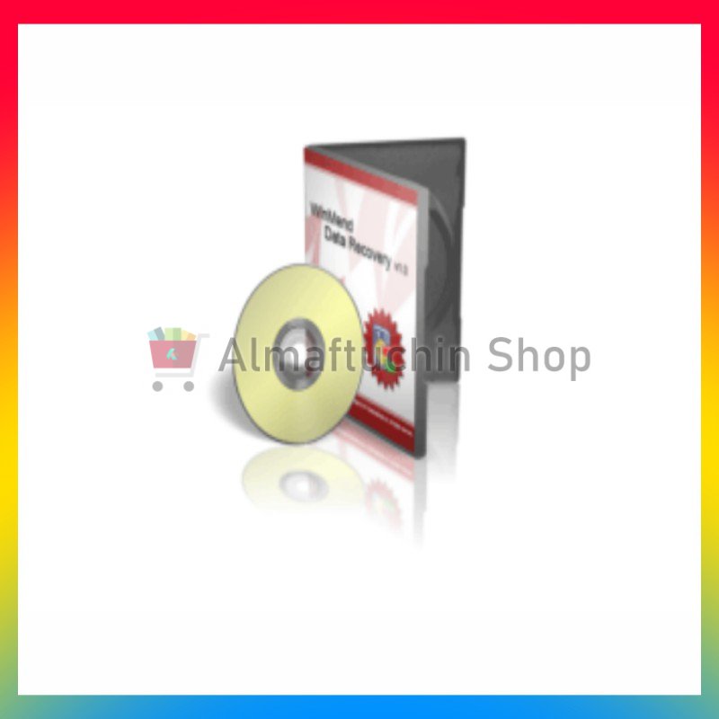 License WinMend Data Recovery Pro Lifetime 1 PC