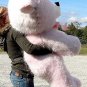 American Made Giant Pink Teddy Bear 54 Inch Soft Stuffed  Made in USA America