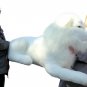 American Made Giant Stuffed WHITE Lion 48 Inches Soft Made in the USA America