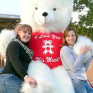 American Made 8 Foot Giant Teddy Bear 96 Inch Soft, I Love You This Much T-shirt