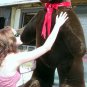 American Made Giant Stuffed Brown Bear 5 Feet Tall 3 Feet Wide Soft Made in USA