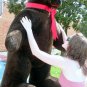 American Made Giant Stuffed Brown Bear 5 Feet Tall 3 Feet Wide Soft Made in USA