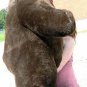 American Made Giant Stuffed Brown Bear 5 Feet Tall 3 Feet Wide Soft Made in USA