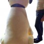 Giant Stuffed Dog Pug 5 Feet Tall Soft 60 Inches Huge Big Plush Animal