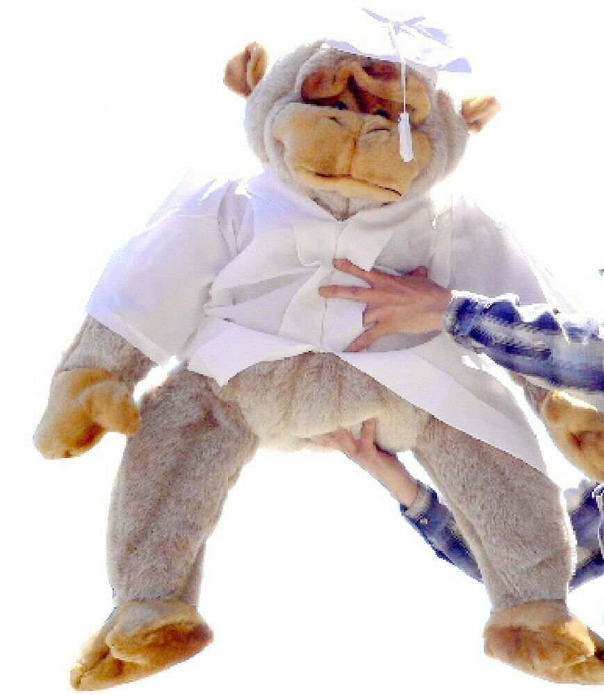 American Made Giant Stuffed Graduation Gorilla 40 Inches Big Plush Grad Monkey