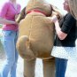 Big Plush Dog 5 Foot Brown Soft Huge Stuffed Puppy with Floppy Ears Made in USA