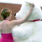 Giant Teddy Bear 54 Inch White Soft Huge Teddybear Made in USA, Weighs 18 Pounds