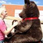 American Made Giant 6 Foot Teddy Bear Dark Brown Soft Stuffed Jumbo Teddy Bear
