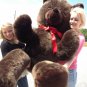American Made Giant 6 Foot Teddy Bear Dark Brown Soft Stuffed Jumbo Teddy Bear