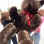 American Made Giant 6 Foot Teddy Bear Dark Brown Soft Stuffed Jumbo Teddy Bear