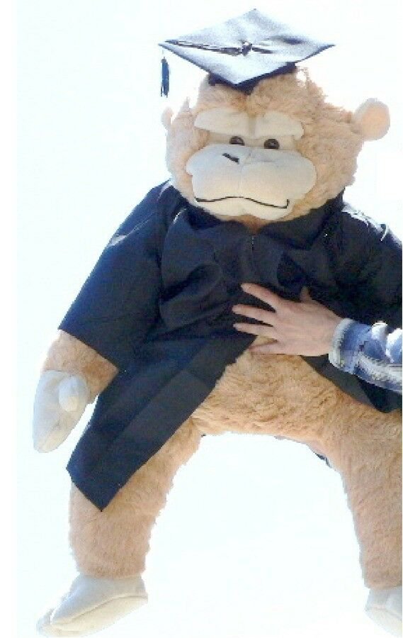Giant Graduation Stuffed Monkey 42 Inch wears Black Grad Cap & Gown