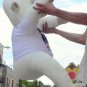 American Made Giant White Gorilla Wears Tshirt SOMEONE IN THE NAVY LOVES YOU