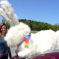 American Made Huge Stuffed Bunny 52 Inch Soft Gigantic Plush Rabbit Made in USA
