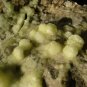 DEAD SEA SELENITE COLLECTOR'S DISPLAY SPECIMEN CRYSTAL WITH BULBS!
