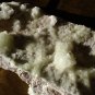 DEAD SEA SELENITE COLLECTOR'S DISPLAY SPECIMEN. SPECTACULAR CRYSTAL WITH BULBS!