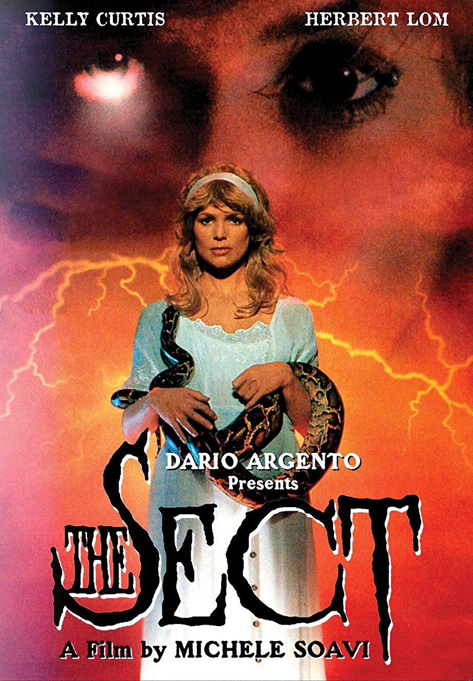 The Sect [DVD] [1991]