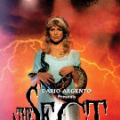 The Sect [DVD] [1991]