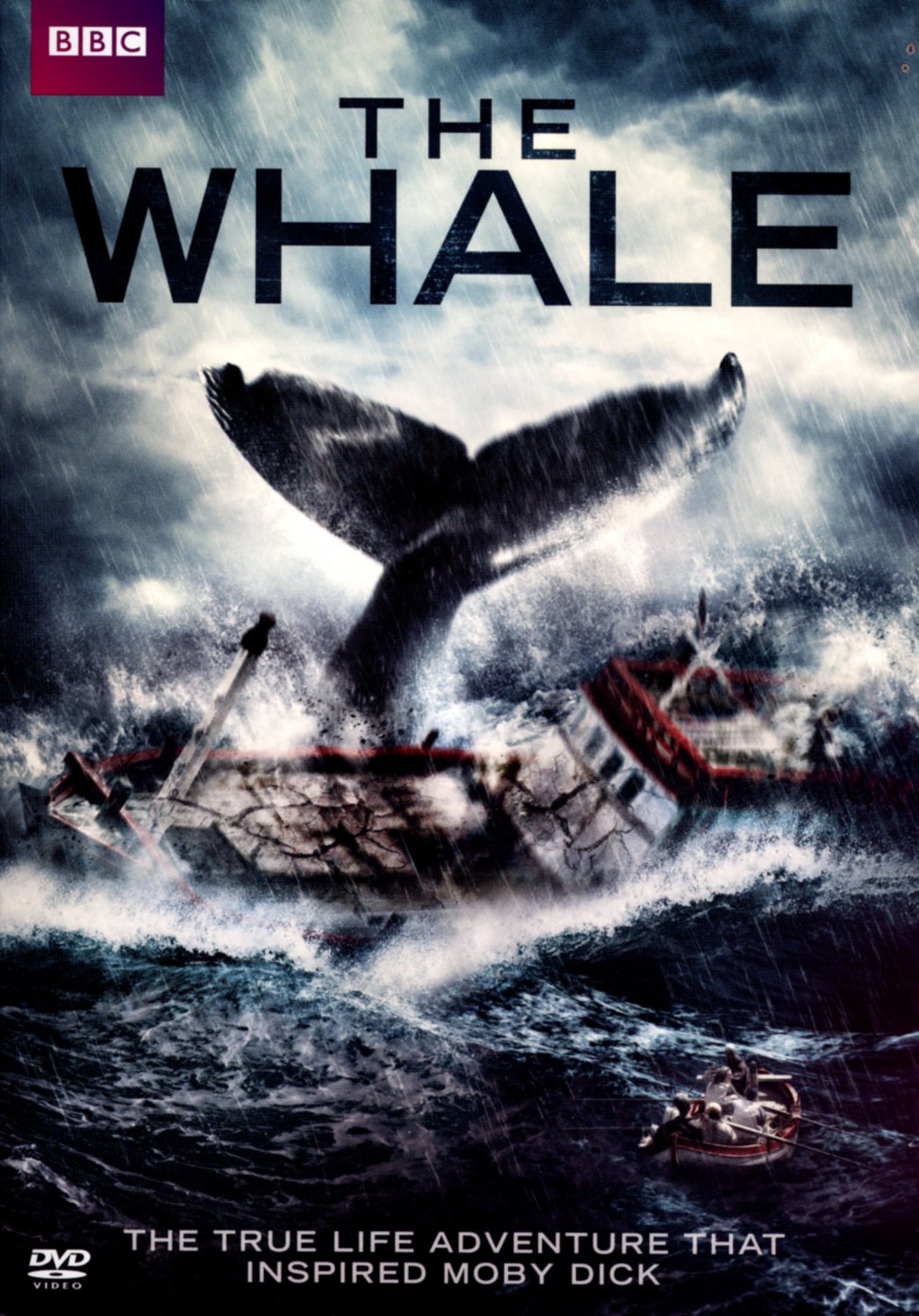 The Whale [DVD] [2013]