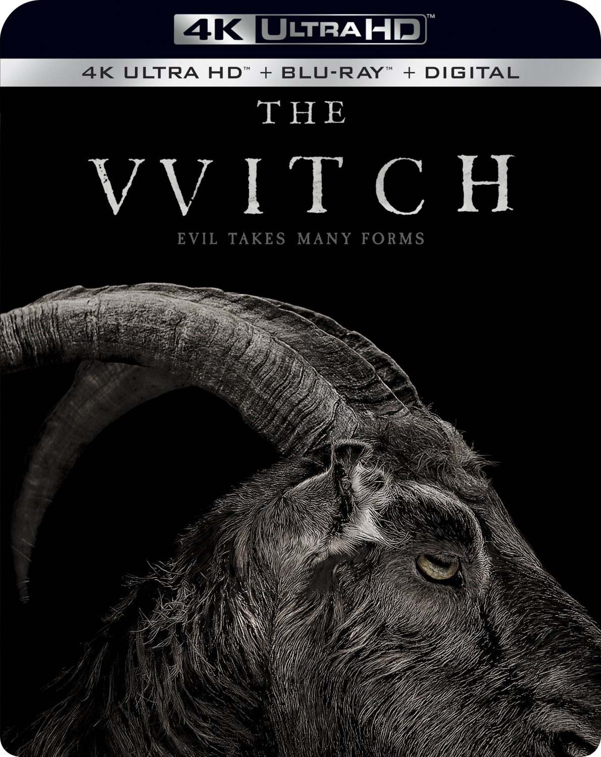 The Witch [Includes Digital Copy] [4K Ultra HD Blu-ray/Blu-ray] [2015]