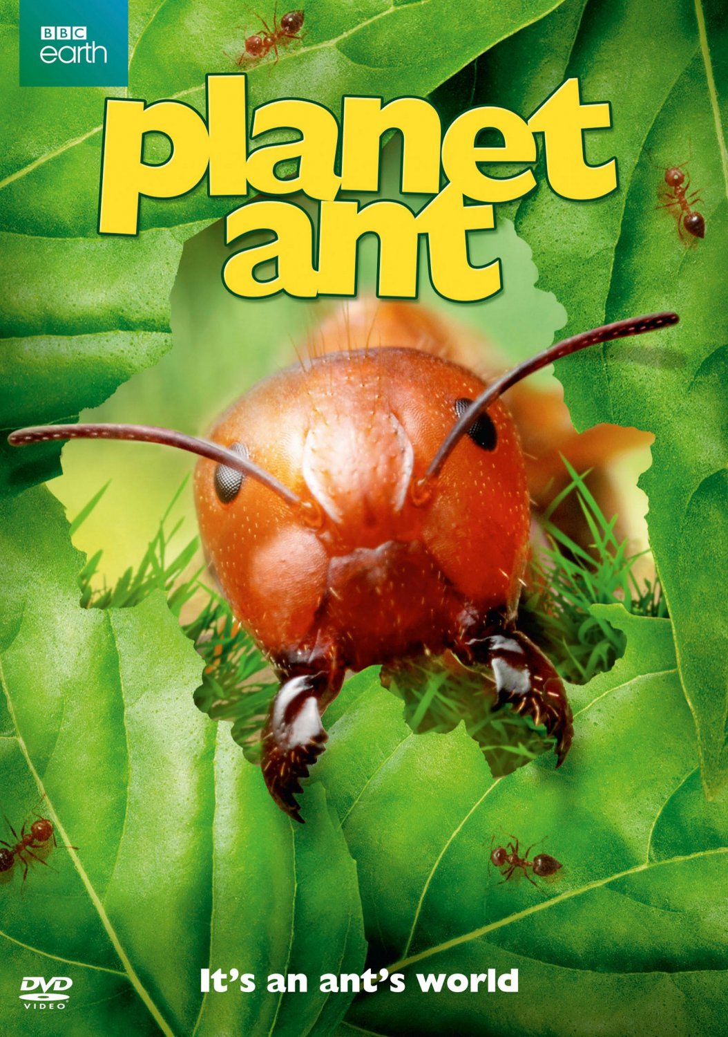 Planet Ant [DVD] [2014]