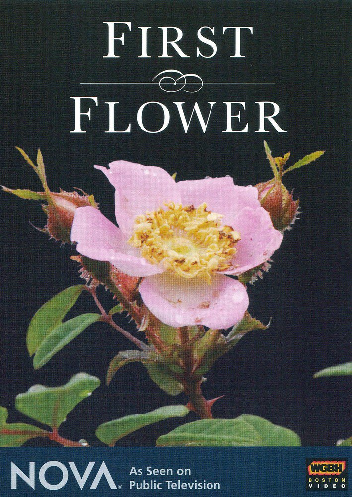 NOVA: First Flower [DVD] [2007]