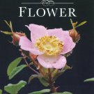 NOVA: First Flower [DVD] [2007]