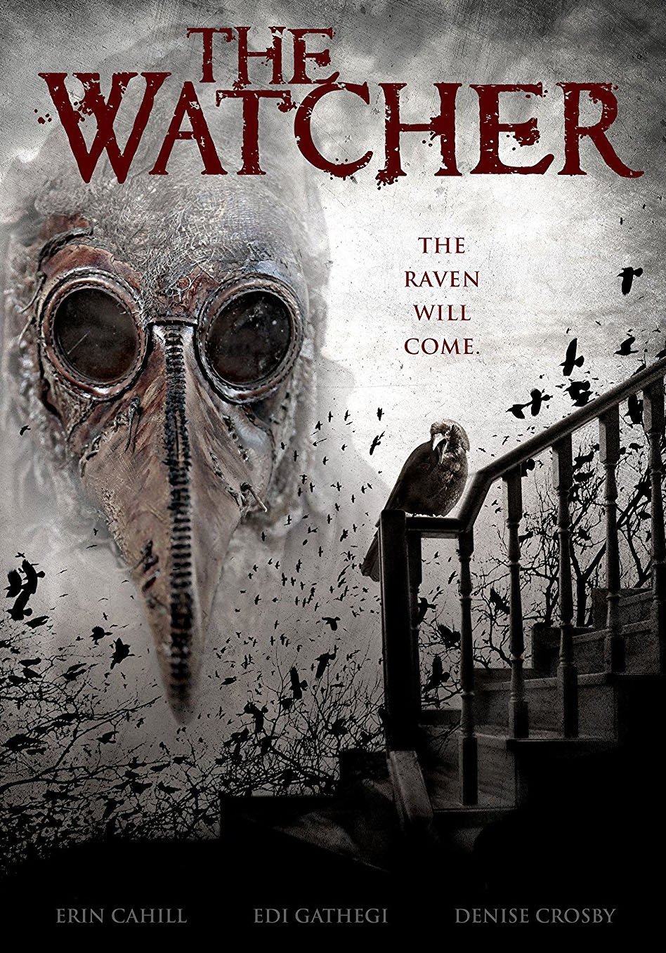 The Watcher [DVD] [2016]